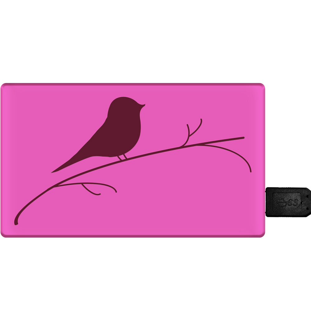 Auffallende Silikonhülle im pinken Vogel-Design für externe Festplatten und SSD