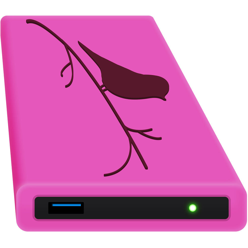HipDisk: Externes Festplattengehäuse mit pinker austauschbarer Silikonhülle im Vogel-Design